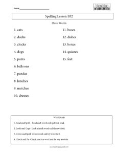 Spelling List B32- Plural Words