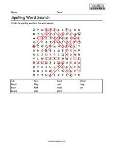Word Search- Spelling Practice B1