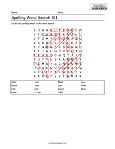 Word Search- Spelling Practice B11