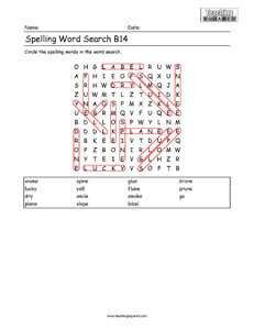 Word Search- Spelling Practice B14