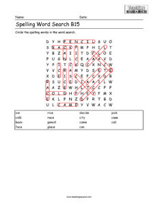 Word Search- Spelling Practice B15