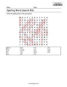 Word Search- Spelling Practice B16