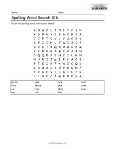 Word Search- Spelling Practice B16