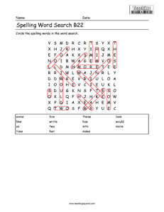 Word Search- Spelling Practice B22