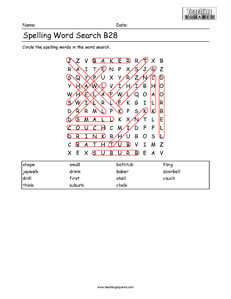 Word Search- Spelling Practice B28