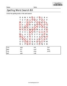 Word Search- Spelling Practice B3