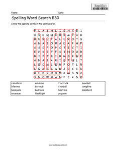 Word Search- Spelling Practice B30