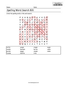Word Search- Spelling Practice B31
