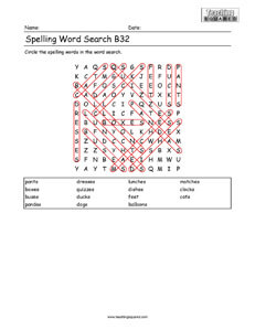 Word Search- Spelling Practice B32