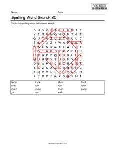 Word Search- Spelling Practice B5