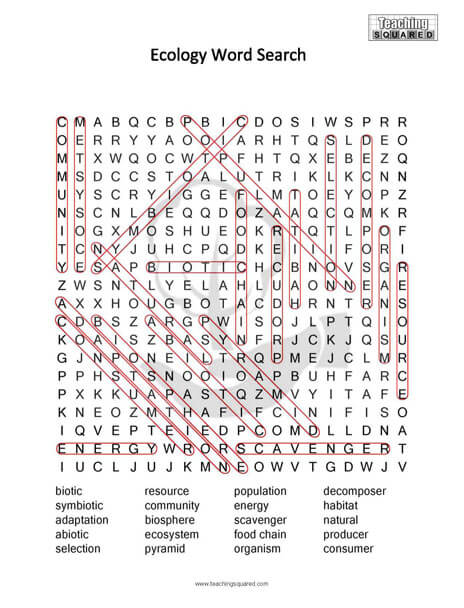 Ecology Science Word Search Puzzle