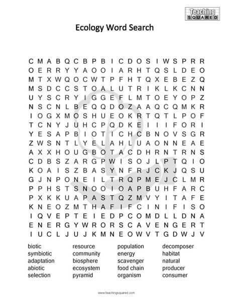 Ecology Science Word Search Puzzles