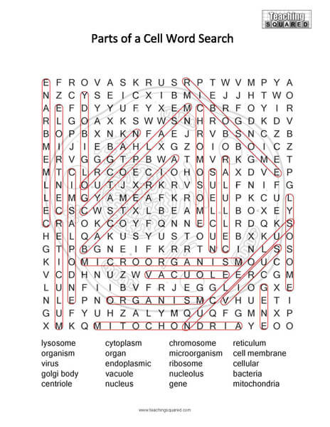 Parts of a Cell Science Word Search Puzzle
