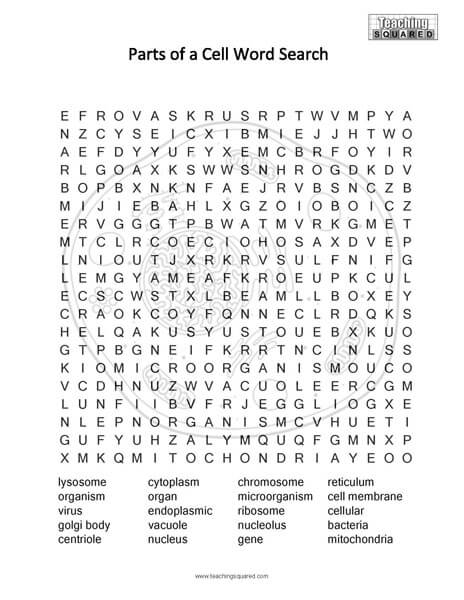 Parts of a Cell Science Word Search puzzle fun free printable