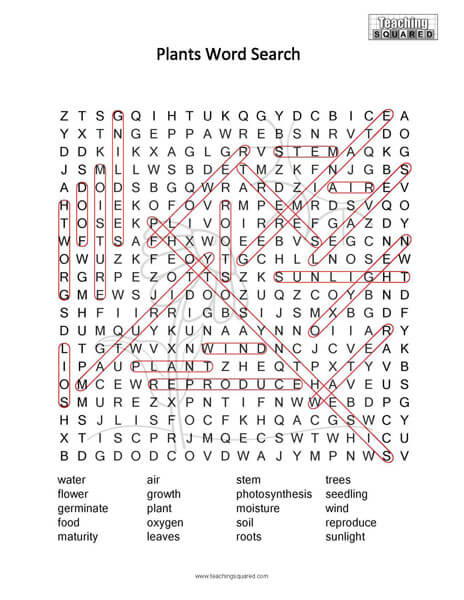 Plants Science Word Search Puzzle